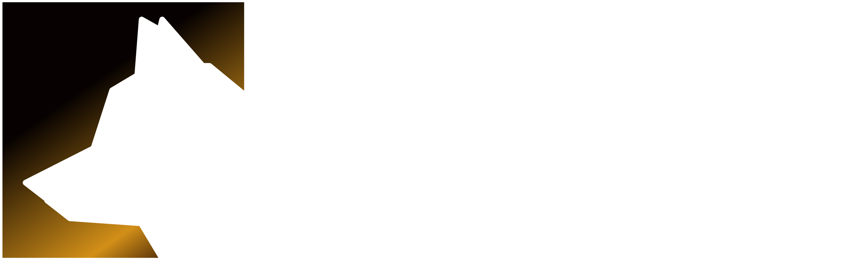 Code Reviewer, powered by LoneWolf